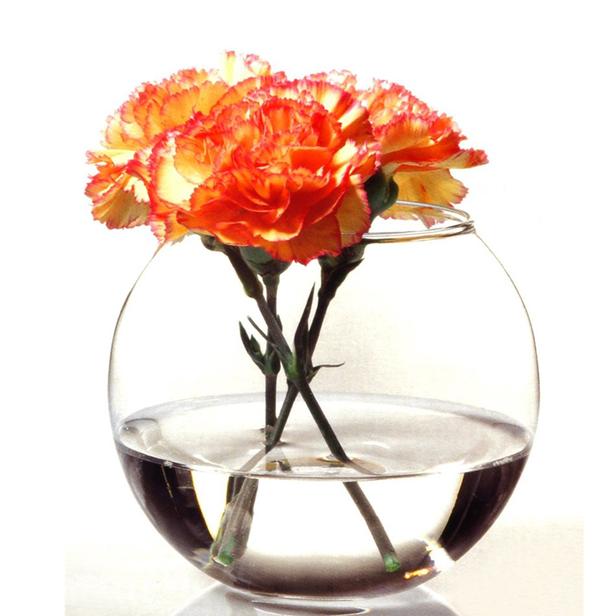 فازه بغطاء فل