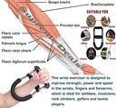 اداة تدريب وتمرين لتقوية قبضة اليد و المعصم قابل للتعديل