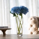 فازة زجاج شفاف بتصميم كوب مقاس 10 * 26 سم