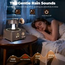 فواحة مضيئة على شكل جرامافون مع صوت ضوضاء بيضاء وسبيكر بلوتوث بخزان 250 ملي لتعطير المنزل بريموت للتحكم