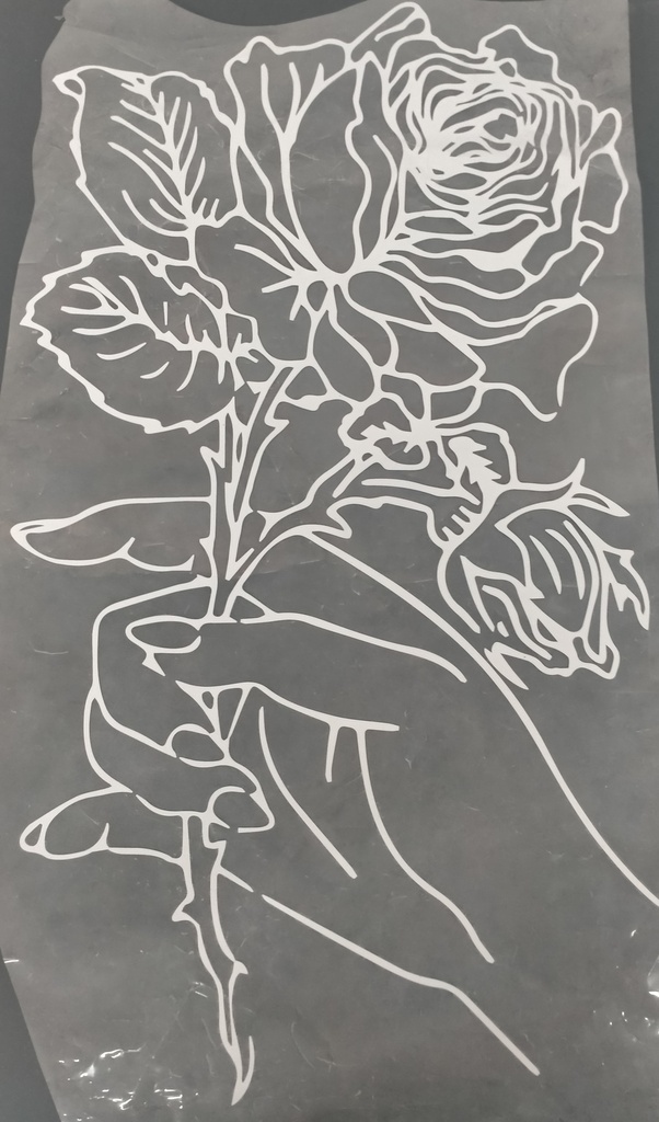White Rose Print