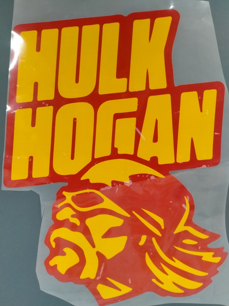 Hulk Hogan print