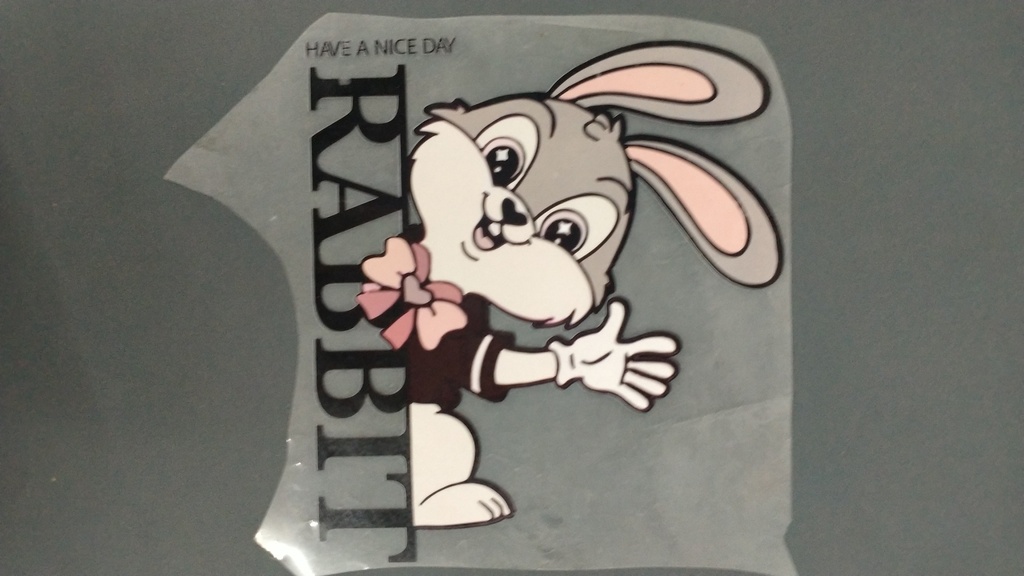 Rabbit print