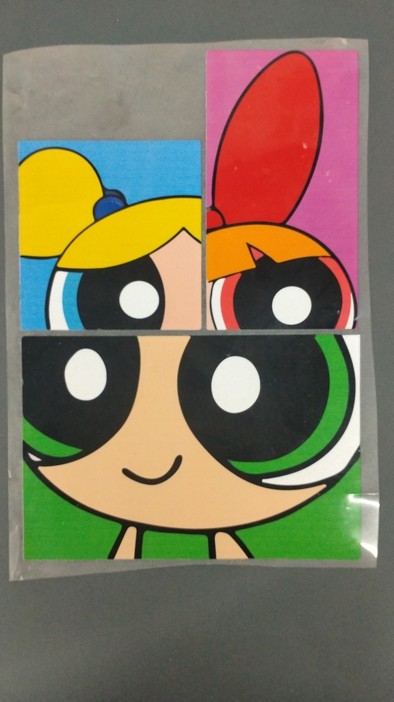 Power puff Girls print