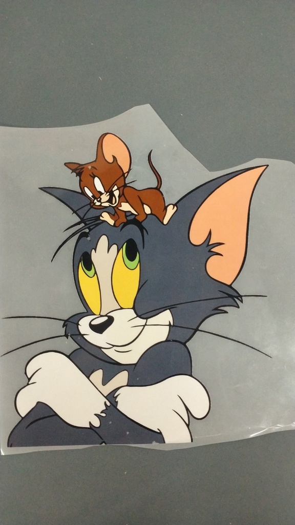Tom And Jerry print