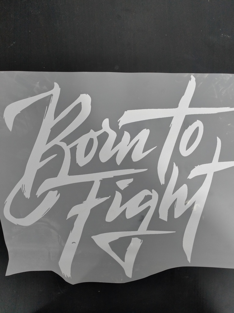 Born to Fight print