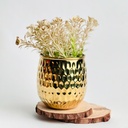 اصيص زرع جولد نحاسي بتصميم مزخرف صناعة يدوية