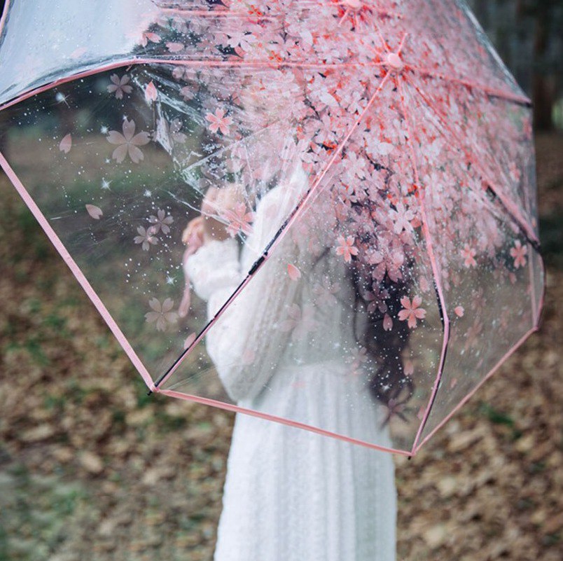 شمسية شفافه بورود ورديه مبهجة للحماية من المطر قابله للطي لسهولة الحمل في الشنط