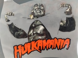 [HH00016528] POP! Hulkamania print