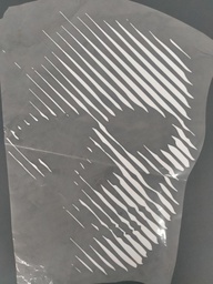 [HH00016804] Skull Print Print