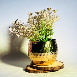 [HH00017819] اصيص زرع من النحاس المزخرف لتجديد ديكور المنزل _ باللون الذهبي