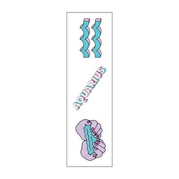 [HH00006717] Aquarius Zodiac Vinyl Sticker Pack Reusable &amp; Waterproof