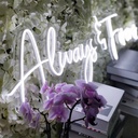 Always &amp; Forever Neon Led Light Sign Art Decor