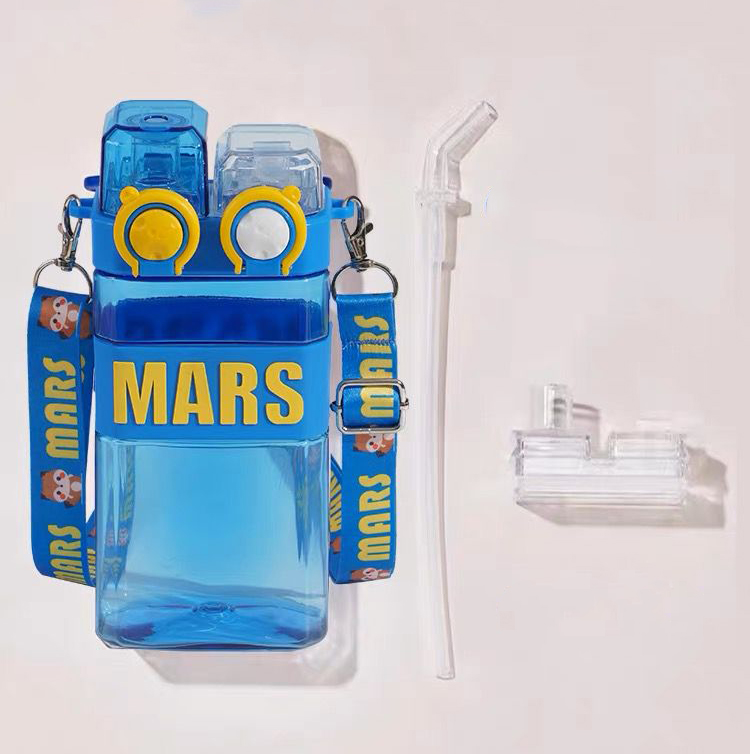Mars Flask with 2 Drinking Options 600 ml