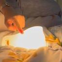 وناسة تانش ميني شكل بطة ب 3 مستويات اضاءة قابلة للشحن