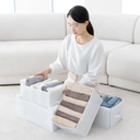 منظم وتربروف 9 خانات لتنظيم الملابس داخل الدواليب والادارج قابل للطي