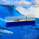 ديكور القارب العائم غير قابل للغرق - لتزيين تابلوه السيارة