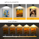 مصباح حائط سبوت مزدوج دابل فيس ب 3 درجات اضاءة