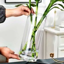 فازة زجاج شفاف بتصميم اسطواني الشكل مقاس 30 * 13 سم