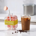 زجاجة مكعبات الثلج لشرب المياه المثلجة والعصائر الفريش بشاليموه 500 ملي