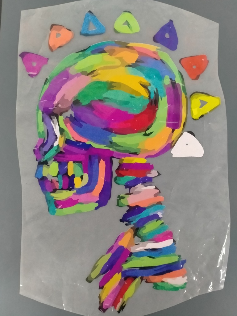 Colorful Skull print