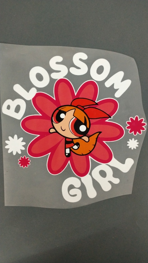 Powerpuff Blossom Girl  print