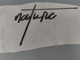 [HH00016436] Nature print