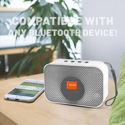 [HH00016064] USB مكبر صوت ستيريو مع راديو - يعمل بالبلوتوث وشحن